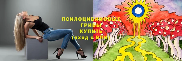 прущая мука Алзамай