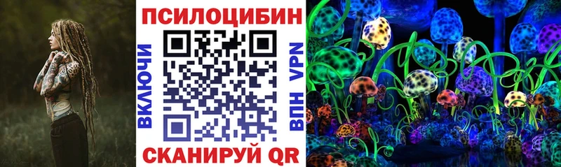 дарнет шоп  Себеж  Псилоцибиновые грибы прущие грибы 